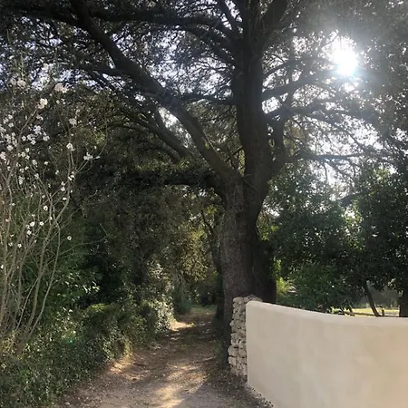Vakantiehuis Au Bout Du Chemin Le Pouget