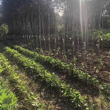 Au Bout Du Chemin Nyaraló